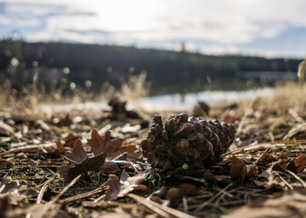natures essence