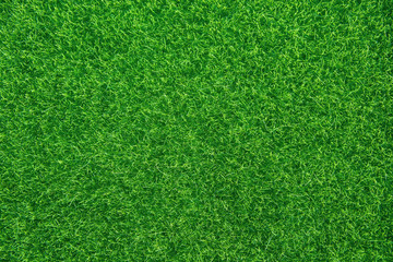 Fototapeta premium Green grass texture background. Top view with copy space.