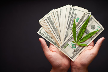 Two hands with cannabis and money. The concept of selling marijuana, hemp, drugs
