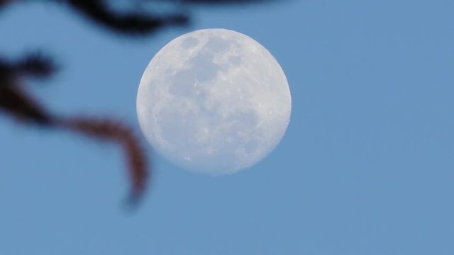 Lua cheia e c&eacute;u azul