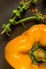 a freshest yellow paprika, bell pepper in ceramic plate