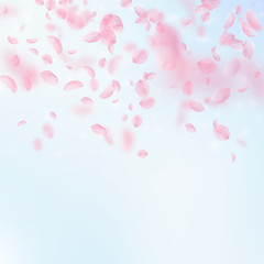 Sakura petals falling down. Romantic pink flowers gradient. Flying petals on blue sky square backgro
