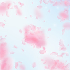 Sakura petals falling down. Romantic pink flowers explosion. Flying petals on blue sky square backgr