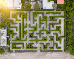 Garden Decoration is a maze with Green leaves wall fence with concrete