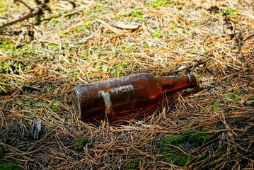 dirty brown glass bottle on the ground in the forest