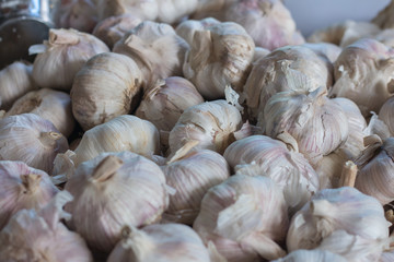 Garlic for sale at the fair