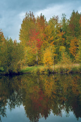 September landscape near the forest lake in the autumn day