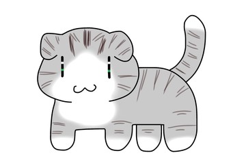 スコティッシュフォールド