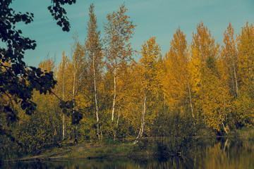 September landscape near the forest lake in the autumn day