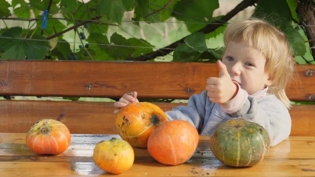 Little girl rejoices at the new harvest pumpkin