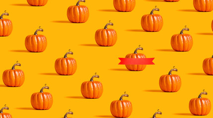 Autumn orange pumpkins on an orange background