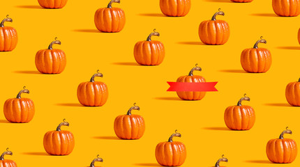 Autumn orange pumpkins on an orange background