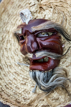 Danza de los Tecuanes 1