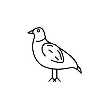 recommend clip art: chukar partridge icon. Element of Pakistan culture for mobile concept and web apps illustration. Thin line icon for website design and development, app development