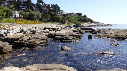 Landscape, rocky beach and seaside