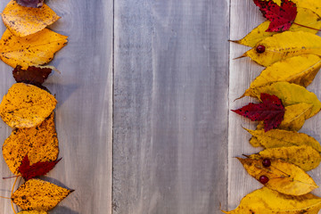 Obraz premium Autumn background with colored leaves on wooden board