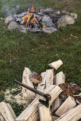 Ax in front of fireplace