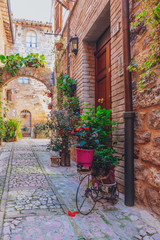 Fototapeta na wymiar Plants and flowers in front of houses in Spello, Italy