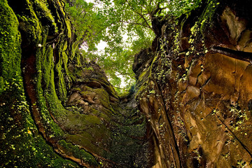 Cave: view from within. Taken in a cave on the way to Yanna, UK, Karnataka, India