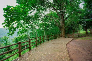 National Landmark, Springtime, Tropical Rainforest