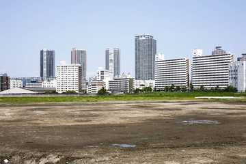 Fototapeta na wymiar 東京　豊洲の空き地