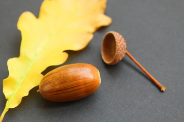 oak leaves and a hat with a hat