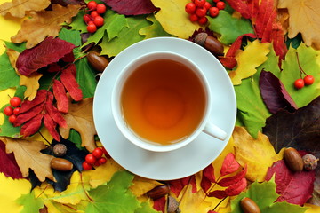 background a lot of autumn yellowed maple leaves and a cup of tea