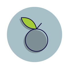 apple with leaves icon in badge style. One of web collection icon can be used for UI, UX