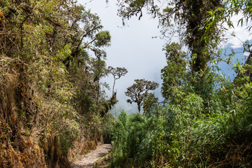 Obraz na płótnie Canvas Salkantay, Inca trail to Machu Picchu