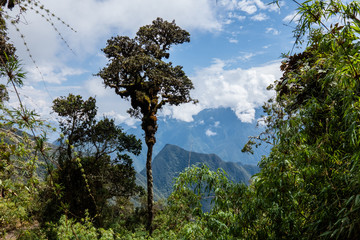 Salkantay, Inca trail to Machu Picchu