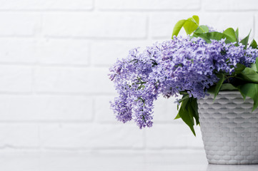 Fresh lilac flowers on a wooden table