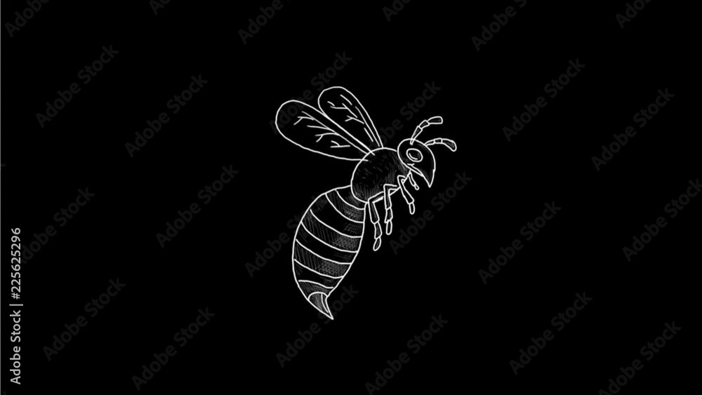 Poster 2d animation motion graphics showing a drawing of a wasp or hornet flying side view on white and gre
