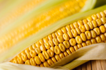Corn cob, wooden background, top view, agriculture