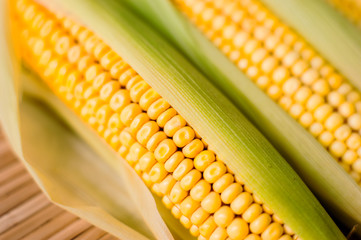 Corn cob, wooden background, top view, agriculture