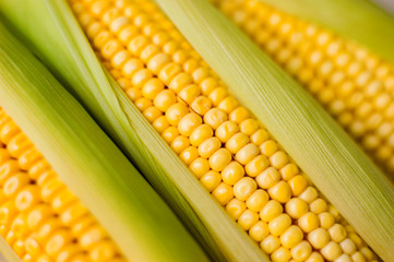 corn cob