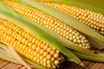 Corn cob, wooden background, top view, agriculture