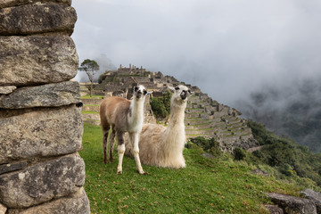 Salkantay, Inca trail to Machu Picchu