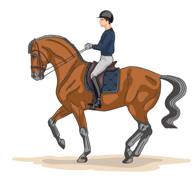 Equestrian, dressage. A vector illustration of a rider on a horse execute the piaffe.