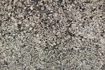 Grey concrete and harsh texture