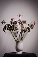 Rose dried in a ceramic vase. Left in the room with shadows.soft focus.