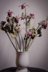 Rose dried in a ceramic vase. Left in the room with shadows.soft focus.