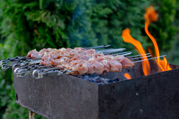  Shish kebabs on skewers are grilled