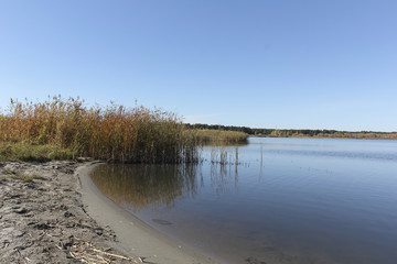 The Lake Shore with blue water