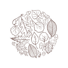 Hand-drawn autumn leaves. Vector  illustration.