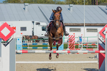 Horse jumping equestrian sport