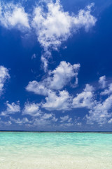 Fototapeta na wymiar インド洋の美しいサンゴ礁の海
