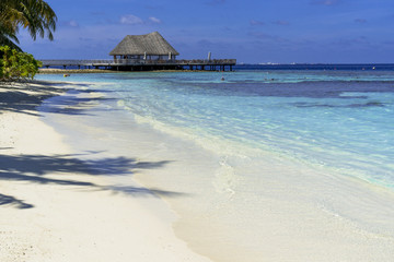 インド洋の美しいサンゴ礁の海