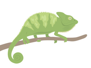 カメレオン © R-DESIGN