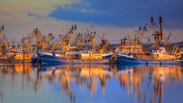 Fototapeta Fishery in Lauwersoog harbor