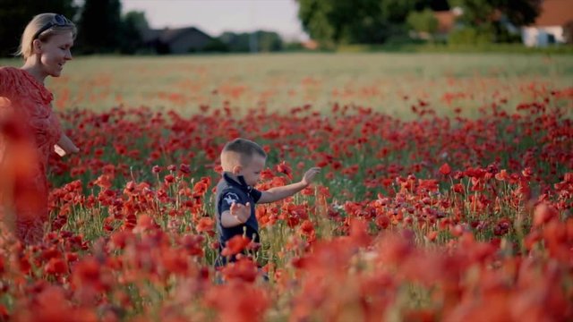 Mother and son running in a field of poppies in Denmark